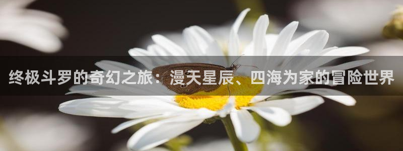 51漫画永久免费看