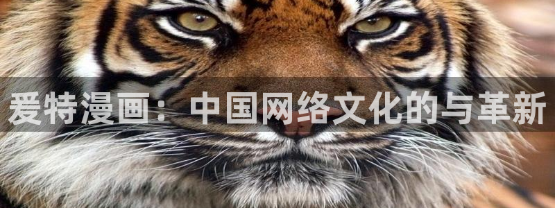 51漫画下拉式免费漫画阅读软件优势