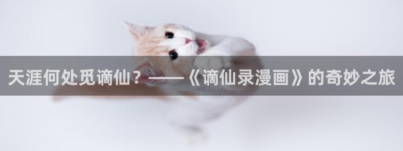 51漫画官网登录