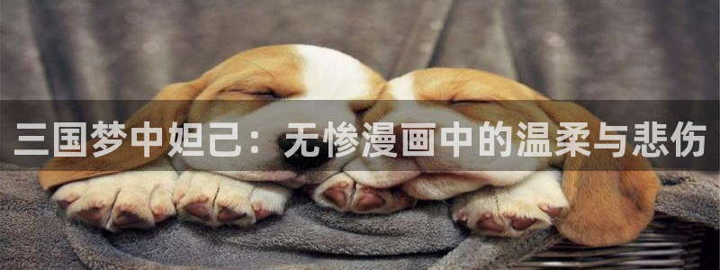 免费51漫画网站