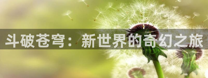 51漫画最新版怎么下载