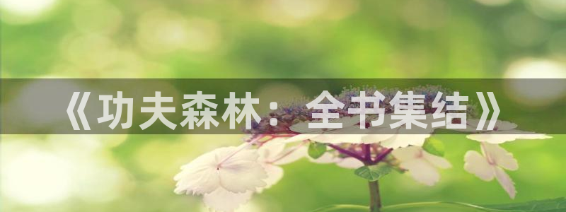 51漫画网页版官网首页